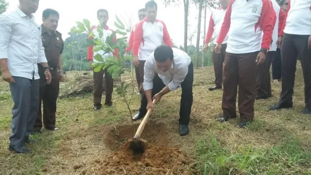 Bupati Ikut Tanam Program Penanaman Sejuta Pohon